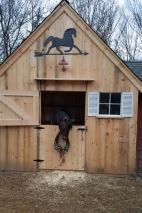 Tater In His Cottage